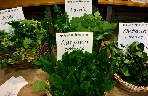 Terramara Le piante raccontano