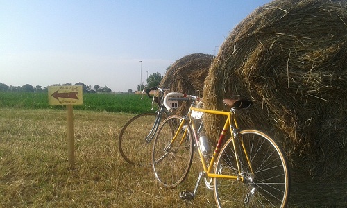 2.bici.polv