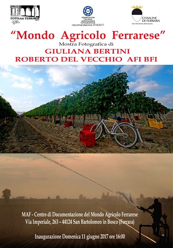 Mondo agricolo ferrarese