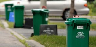 Parma: Raccolta a domicilio degli scarti vegetali, aperto il bando per la manifestazioni di interesse greenbin