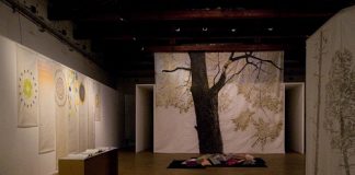 Modena: Visita guidata gratuita alle mostre di Arienti e Zanin mostra di Stefano Arienti alla Galleria Civica di Modena