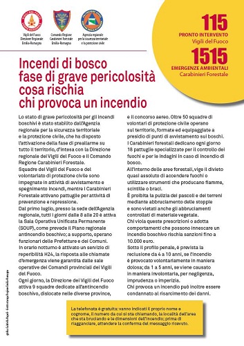 Emergenza Rischio Incendi