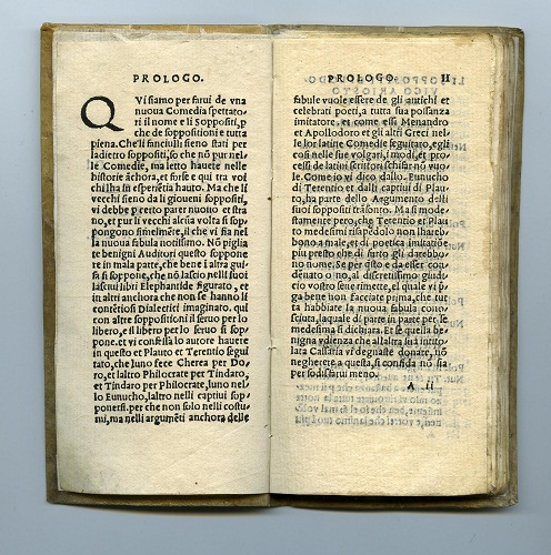 Sonciniana 02