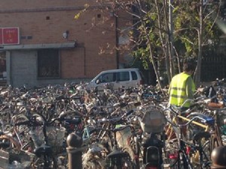 foto_rimozione_bici_nov2013_