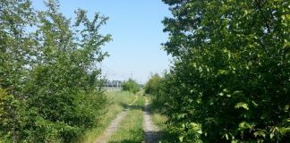 Provincia di Modena: ciclabile ex ferrovia Bologna-Verona, lavori dal 2018, via libera a convenzione e cronoprogramma Ciclab Bo-Vr tra Camposanto e San Felice