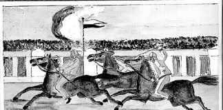 Contrade in palio