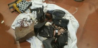Polizia Municipale di Rimini, tentano la fuga su due scooter rubati: fermati quattro ragazzi borse sequestrate