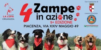 4zampe2017