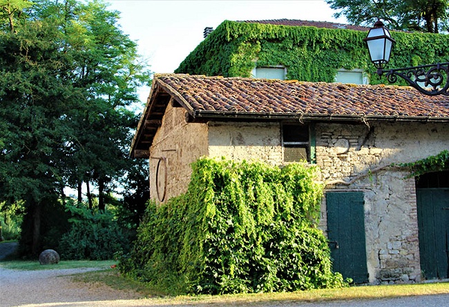 Borgo Antico le Viole