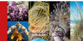 Copertina del volume di Attilio Rinaldi