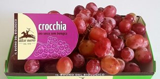 Alce Nero “Crocchia”, l’ uva rossa dolce e croccante, senza semi Crocchia