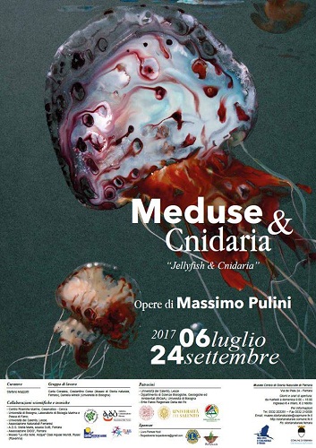 Meduse & cnidaria