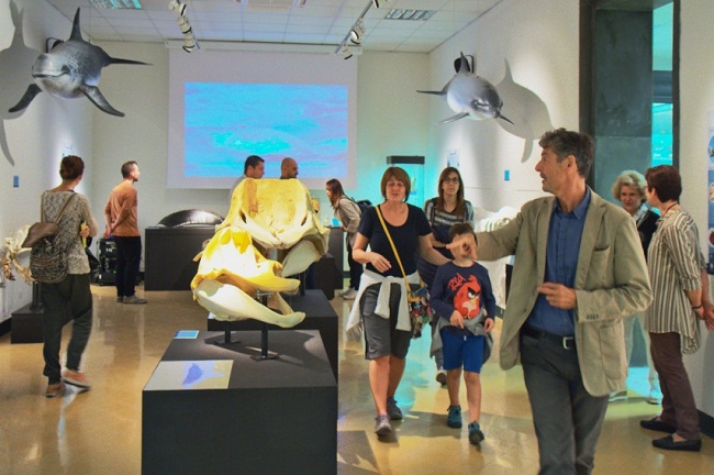 Museo Civico di Storia Naturale