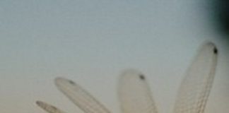 per ricucire la passione