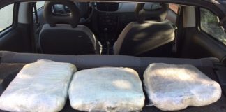 Bologna: cittadini segnalano un’auto ferma da mesi in via Piana e dal baule spuntano cinque chili di marijuana sequestro-marijuana-pm-bologna-1