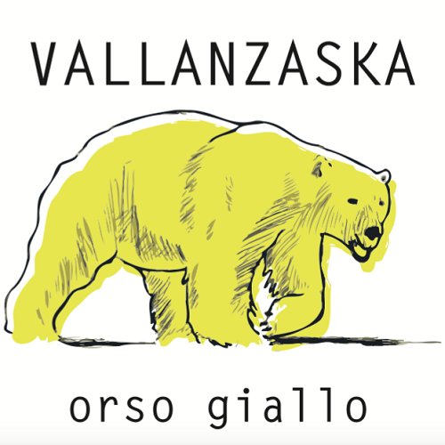 Cover - Orso Giallo