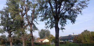 Modena Park: riposizionata la recinzione al Parco Ferrari IMG-20171017-WA0003