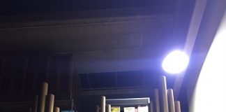 Laboratorio organario