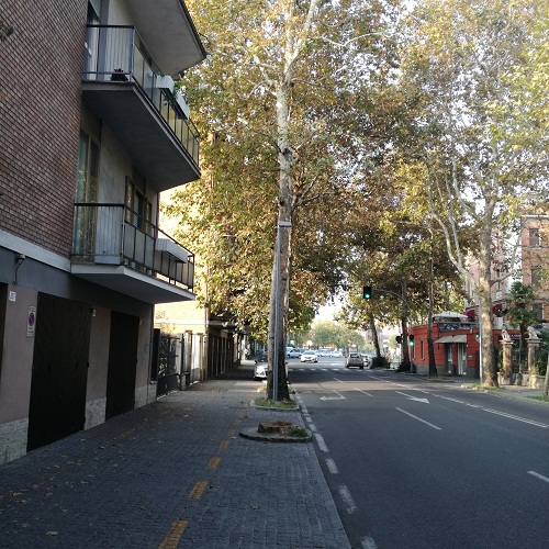 piante cucchiari abbattimento -2