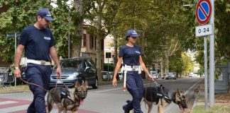 pmte ottobre 2017