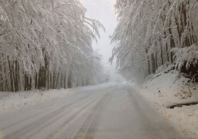 Frassinoro-7-11-2017