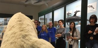 La visita al museo per i mixer