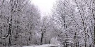 Provincia di Parma: prima nevicata, situazione sotto controllo sulla strade provinciali Provinciale_Prima_neve_2017