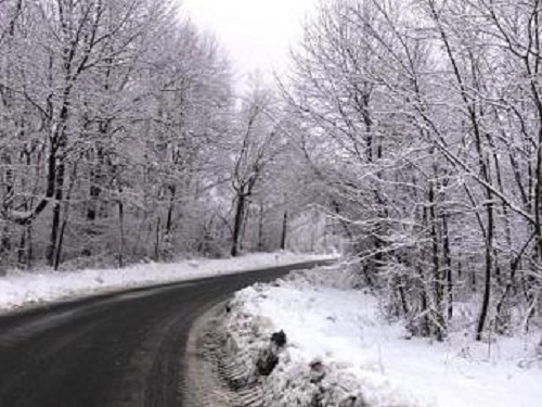 Provinciale_Prima_neve_2017