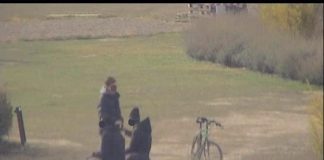 VideosorveglianzaNovisad021117