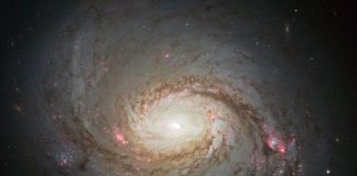 mese della scienza 2017 galassia a spirale