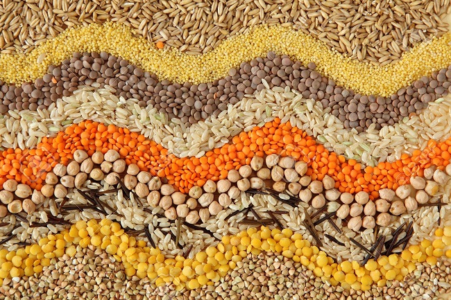 mese della scienza 2017 semi diversi