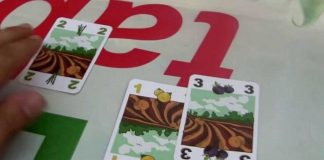 vegetables gioco di carte