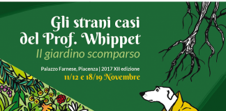 whippet_2017-01