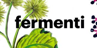 Fermenti: dal 10 gennaio a Wunderkammer con la creatività di Annalisa Malerba Copertina_evento
