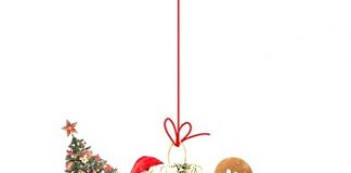 L'albero della città