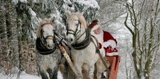 Magie di Natale al Centro Montefiore di Cesena Natale1