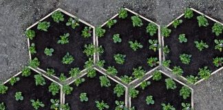 Public Gardens, l’arte fitodepurativa di Luporini, Cantoni e Spaletra al Gate 26A di Modena esagoni (LANCIO)