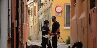 Nuovi ritrovamenti di sostanze stupefacenti foto polizia municipale