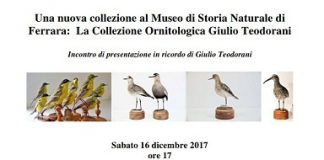 Il Museo presenta la “Nuova collezione ornitologica Giulio Teodorani” locandina presentazione
