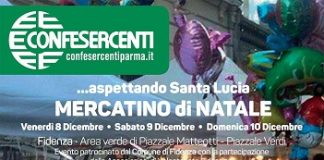 mercatino_natale_fidenza-1080x1536