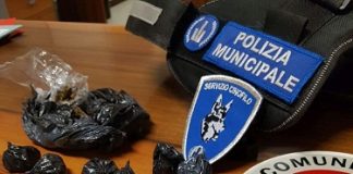 Zona Gad, rinvenute grazie al fiuto dei cani sostanze stupefacenti nascoste polizia municipale di ferrara