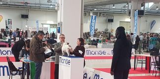 Romagna Winner 1