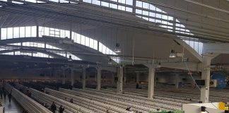 Mondiale Ornitologia Cesena Fiera: l’Italia fa il pieno di Medaglie Veduta dall'alto