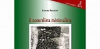 Il mondo delle scienze moderne raccontato da un ‘naturalista minimalista’ copertina pesarini