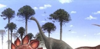 dinosauri