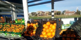 frutta