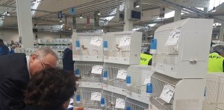 giuria al lavoro 1