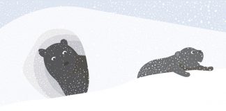 “Raccontami l’inverno” per bambini da 4 a 10 anni libro no di claudiarueda