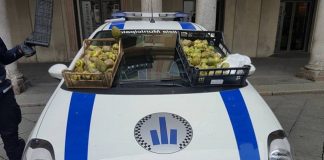Polizia Municipale, controlli anti-abusivismo sul mercato cittadino Carciofi2