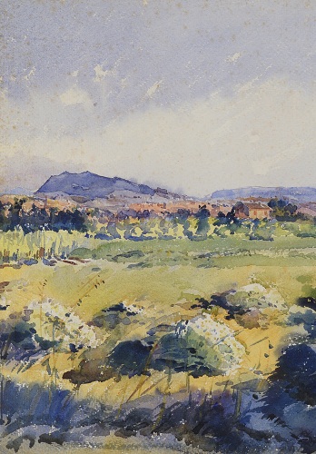 Pasquini 2